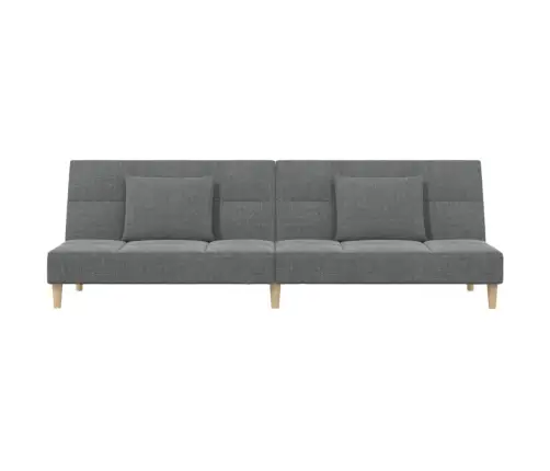 Dvivietė Sofa-Lova Su Dvejomis Pagalvėmis, Pilka, Audinys