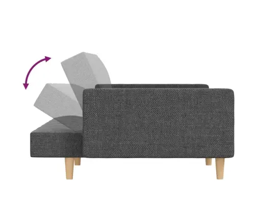 2-Vietīga Dīvāngulta Ar Diviem Spilveniem, Gaiši Pelēks Audums Vidaxl