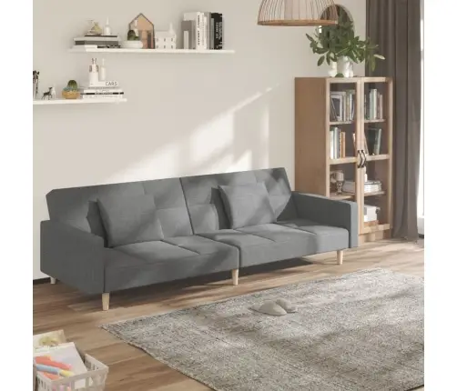 2-Vietīga Dīvāngulta Ar Diviem Spilveniem, Gaiši Pelēks Audums Vidaxl