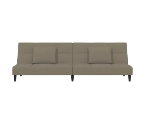 2-Vietīga Dīvāngulta Ar Diviem Spilveniem, Gaiši Pelēks Samts Vidaxl