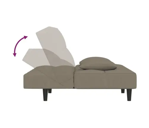 2-Vietīga Dīvāngulta Ar Diviem Spilveniem, Gaiši Pelēks Samts Vidaxl