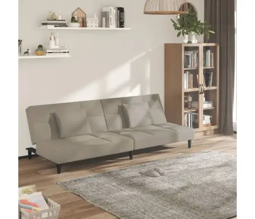 2-Vietīga Dīvāngulta Ar Diviem Spilveniem, Gaiši Pelēks Samts Vidaxl