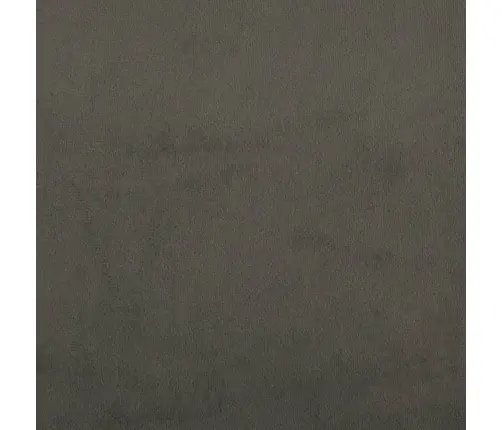 2-Vietīga Dīvāngulta Ar Diviem Spilveniem, Tumši Pelēks Samts Vidaxl