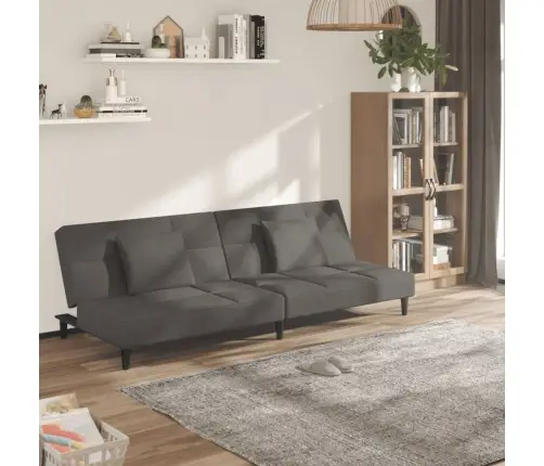 2-Vietīga Dīvāngulta Ar Diviem Spilveniem, Tumši Pelēks Samts Vidaxl
