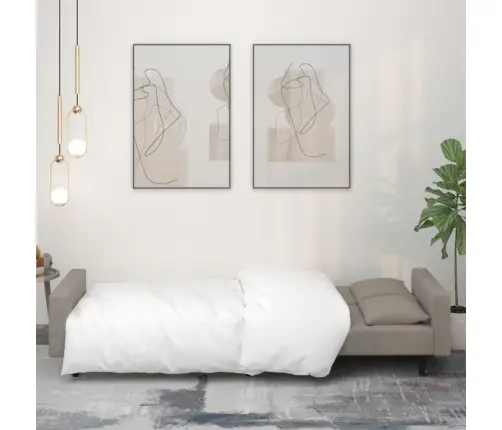 2-Vietīga Dīvāngulta Ar Diviem Spilveniem, Gaiši Pelēks Samts Vidaxl