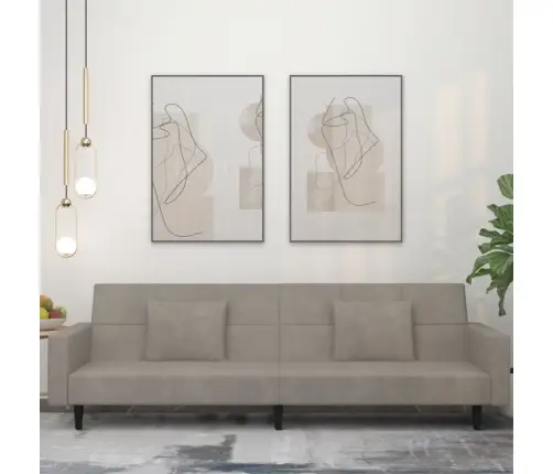 2-Vietīga Dīvāngulta Ar Diviem Spilveniem, Gaiši Pelēks Samts Vidaxl