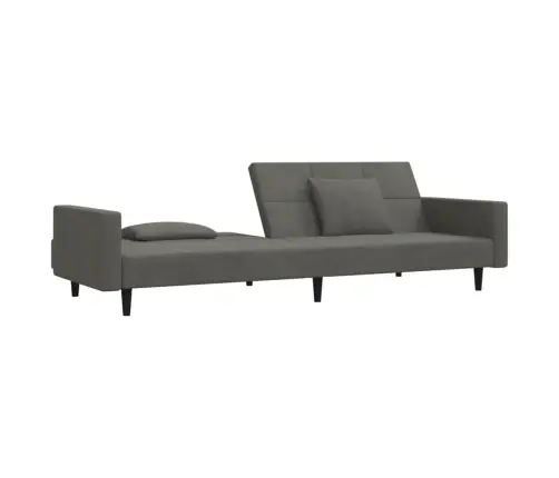 2-Vietīga Dīvāngulta Ar Diviem Spilveniem, Tumši Pelēks Samts Vidaxl