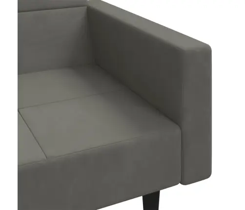 2-Vietīga Dīvāngulta Ar Diviem Spilveniem, Tumši Pelēks Samts Vidaxl