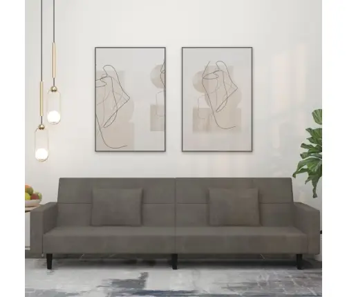 2-Vietīga Dīvāngulta Ar Diviem Spilveniem, Tumši Pelēks Samts Vidaxl