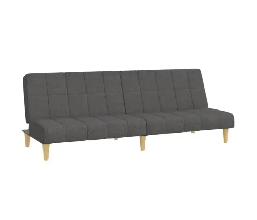 2-Vietīga Dīvāngulta, Tumši Pelēks Audums Vidaxl