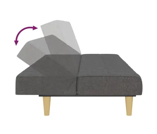 2-Vietīga Dīvāngulta, Tumši Pelēks Audums Vidaxl