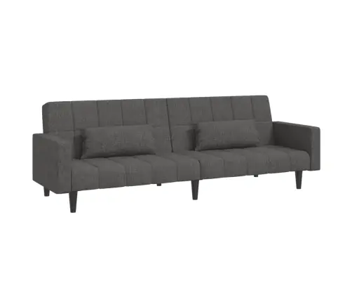 Dvivietė Sofa-Lova Su Dvejomis Pagalvėmis, Pilka, Audinys
