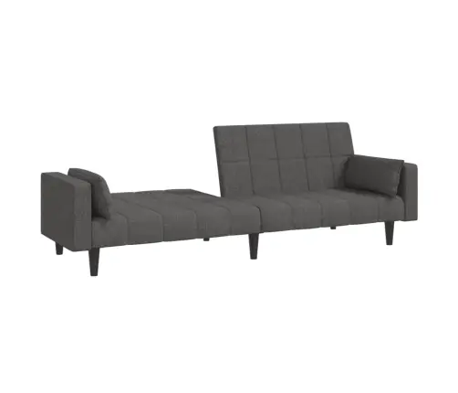 Dvivietė Sofa-Lova Su Dvejomis Pagalvėmis, Pilka, Audinys