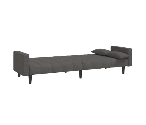 Dvivietė Sofa-Lova Su Dvejomis Pagalvėmis, Pilka, Audinys