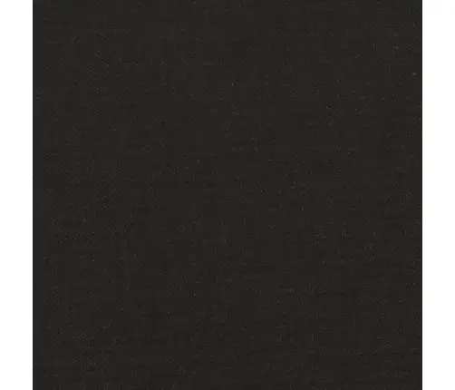 2-Vietīga Dīvāngulta Ar Diviem Spilveniem, Melns Audums Vidaxl