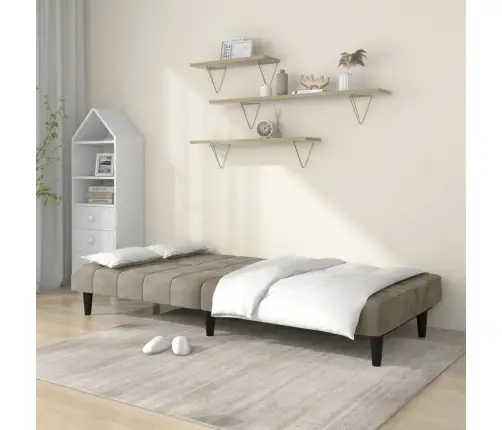 2-Vietīga Dīvāngulta, Gaiši Pelēks Samts Vidaxl 2-Vietīga Dīvāngulta, Gaiši Pelēks Samts Vidaxl