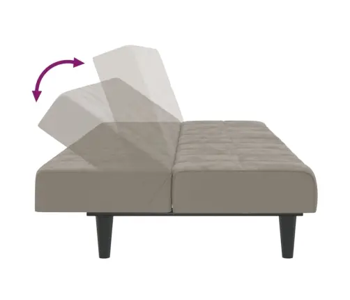 2-Vietīga Dīvāngulta, Gaiši Pelēks Samts Vidaxl 2-Vietīga Dīvāngulta, Gaiši Pelēks Samts Vidaxl