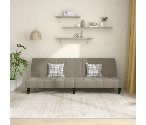 2-Vietīga Dīvāngulta, Gaiši Pelēks Samts Vidaxl 2-Vietīga Dīvāngulta, Gaiši Pelēks Samts Vidaxl