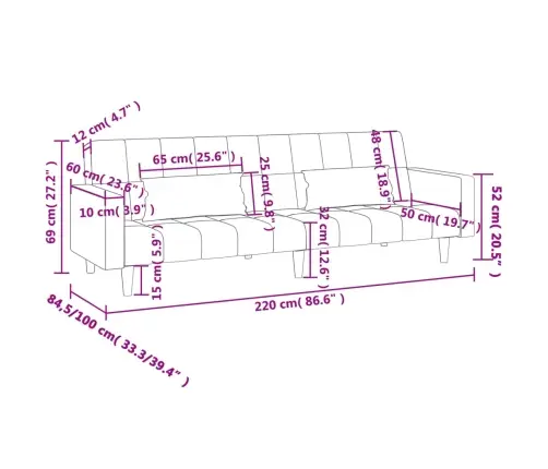 2-Vietīga Dīvāngulta Ar Diviem Spilveniem, Zils Samts Vidaxl