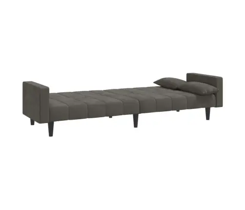 Dvivietė Sofa-Lova Su Dvejomis Pagalvėmis, Pilka, Aksomas
