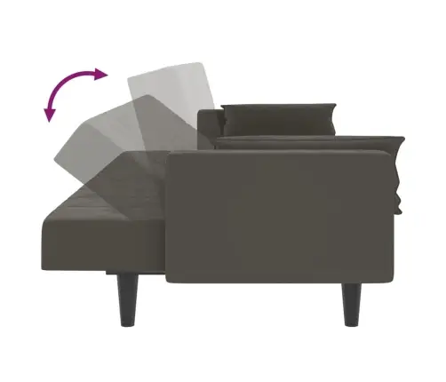 Dvivietė Sofa-Lova Su Dvejomis Pagalvėmis, Pilka, Aksomas