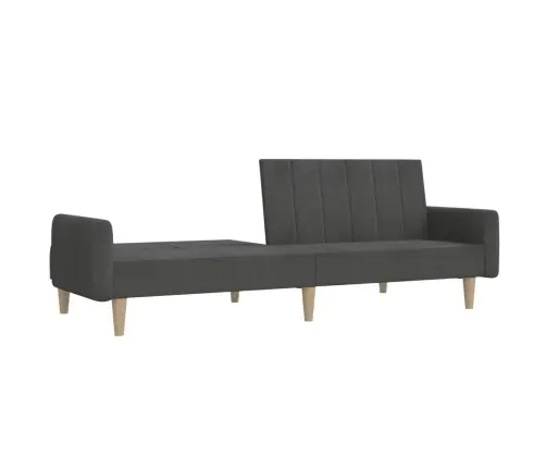 2-Vietīga Dīvāngulta, Tumši Pelēks Audums Vidaxl