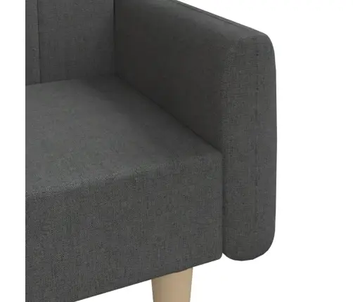 2-Vietīga Dīvāngulta, Tumši Pelēks Audums Vidaxl