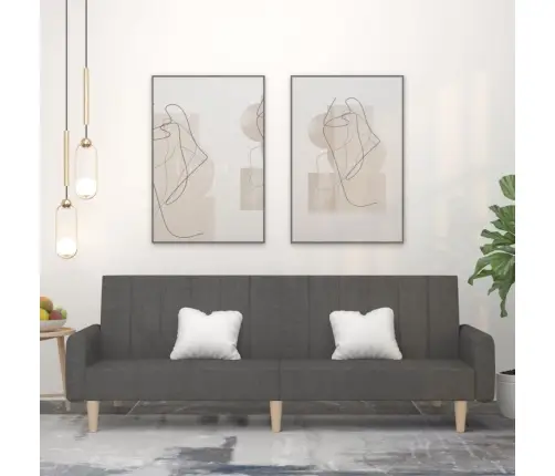 2-Vietīga Dīvāngulta, Tumši Pelēks Audums Vidaxl