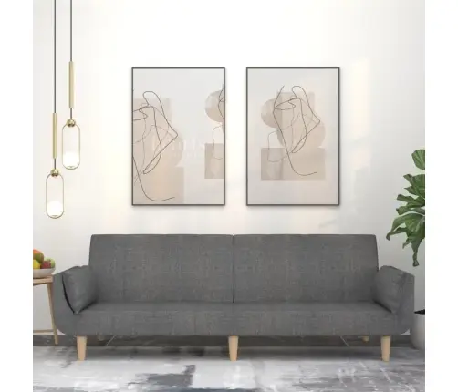 Dvivietė Sofa-Lova Su Dvejomis Pagalvėmis, Pilka, Audinys