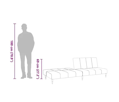 2-Vietīga Dīvāngulta, Gaiši Pelēks Samts Vidaxl
