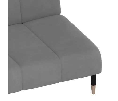 2-Vietīga Dīvāngulta, Gaiši Pelēks Samts Vidaxl