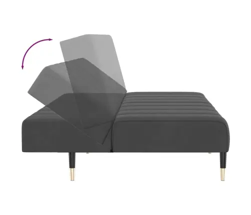 2-Vietīga Dīvāngulta, Tumši Pelēks Samts Vidaxl