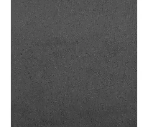 2-Vietīga Dīvāngulta, Tumši Pelēks Samts Vidaxl