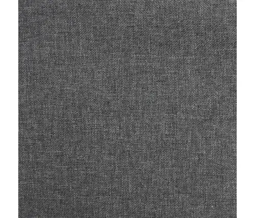 2-Vietīga Dīvāngulta Ar Diviem Spilveniem, Tumši Pelēks Audums Vidaxl