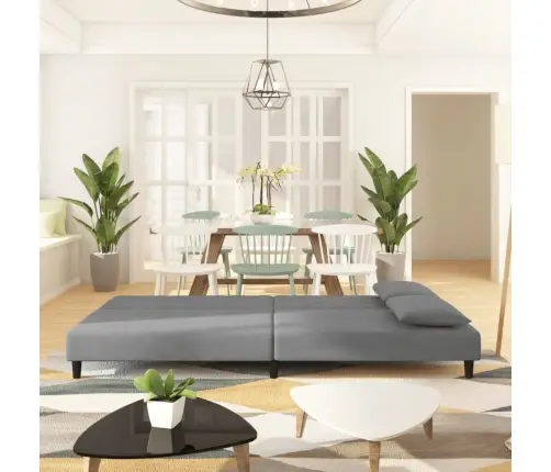 2-Vietīga Dīvāngulta Ar Diviem Spilveniem, Gaiši Pelēks Samts Vidaxl