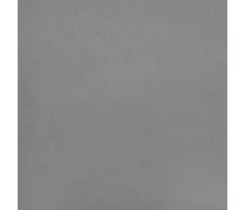 2-Vietīga Dīvāngulta Ar Diviem Spilveniem, Gaiši Pelēks Samts Vidaxl