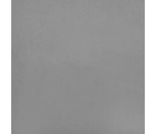 2-Vietīga Dīvāngulta Ar Diviem Spilveniem, Gaiši Pelēks Samts Vidaxl