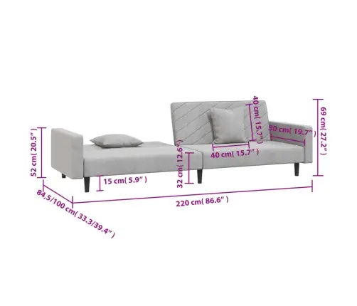 2-Vietīga Dīvāngulta Ar Diviem Spilveniem, Gaiši Pelēks Samts Vidaxl
