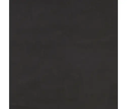 2-Vietīga Dīvāngulta Ar Diviem Spilveniem, Melns Samts Vidaxl