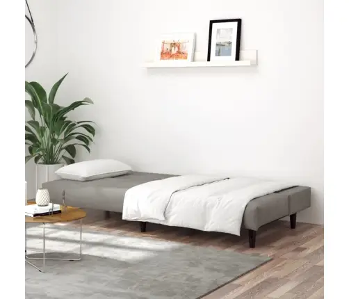 2-Vietīga Dīvāngulta, Gaiši Pelēks Samts Vidaxl