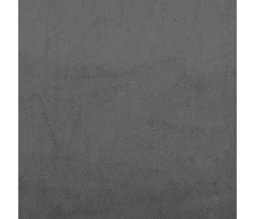 2-Vietīga Dīvāngulta, Tumši Pelēks Samts Vidaxl