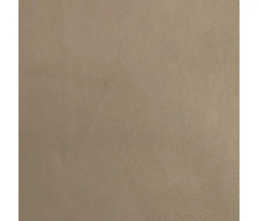 2-Vietīga Dīvāngulta, Kapučīno Krāsas Mākslīgā Āda Vidaxl