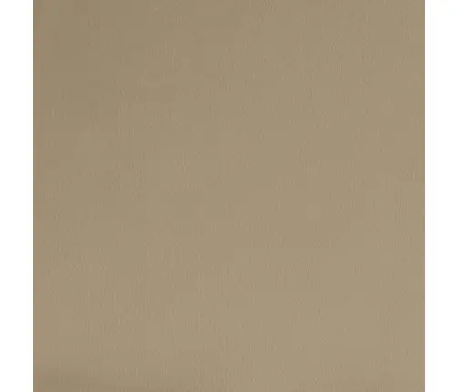 2-Vietīga Dīvāngulta, Kapučīno Krāsas Mākslīgā Āda Vidaxl