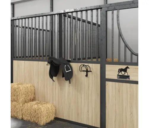 Iemauktu Pakaramais, Stiprināms Pie Sienas, Melna Dzelzs Vidaxl