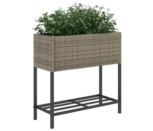 Riiuliga Aia Taimekast, Hall, Polürotang