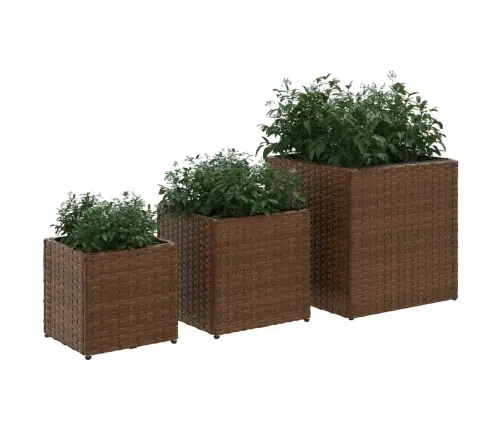 Puķu Kastes, 3 Gab., Polietilēna Rotangpalma, Brūnas Vidaxl