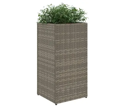 Taimekast, Hall, 30 X 30 X 60 cm Polürotang