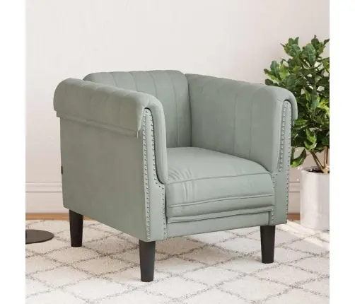 Atpūtas Krēsls, Gaiši Pelēks, Samts Vidaxl