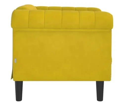 Krėslas, Geltonos Spalvos, Aksomas