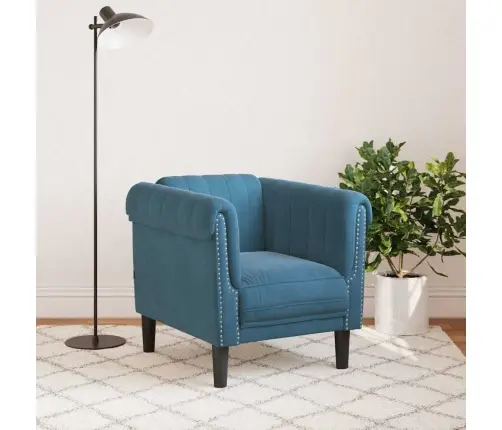 Krėslas, Mėlynos Spalvos, Aksomas